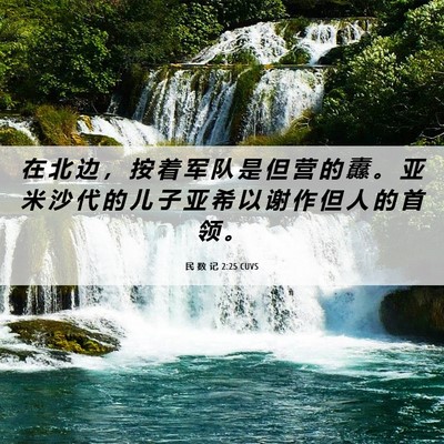 Picture 06 - 民 数 记 2:25 CUVS - 在 北 边 ， 按 着 军 队 是 但 营 的 - Bible Verse Picture