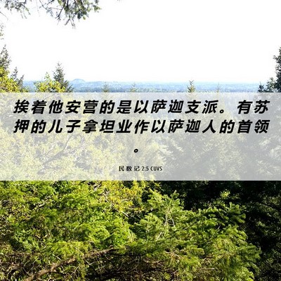 Picture 06 - 民 数 记 2:5 CUVS - 挨 着 他 安 营 的 是 以 萨 迦 支 派 - Bible Verse Picture
