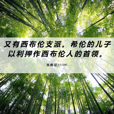 Picture 06 - 民 数 记 2:7 CUVS - 又 有 西 布 伦 支 派 。 希 伦 的 儿 - Bible Verse Picture