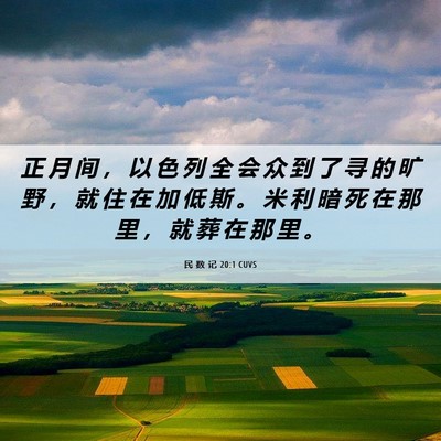 Picture 06 - 民 数 记 20:1 CUVS - 正 月 间 ， 以 色 列 全 会 众 到 了 - Bible Verse Picture