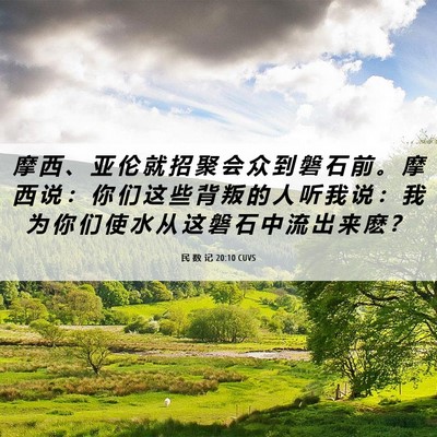 Picture 06 - 民 数 记 20:10 CUVS - 摩 西 、 亚 伦 就 招 聚 会 众 到 磐 - Bible Verse Picture