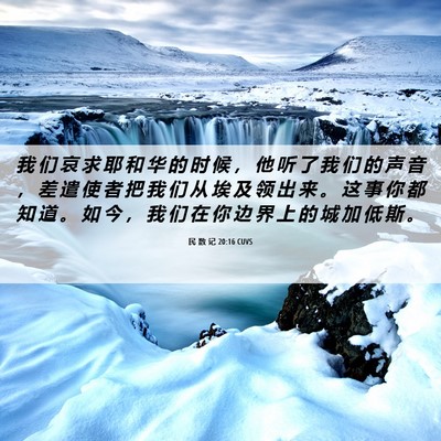Picture 06 - 民 数 记 20:16 CUVS - 我 们 哀 求 耶 和 华 的 时 候 ， 他 - Bible Verse Picture
