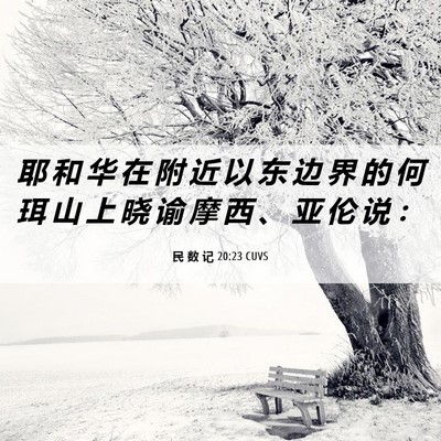 Picture 06 - 民 数 记 20:23 CUVS - 耶 和 华 在 附 近 以 东 边 界 的 何 - Bible Verse Picture