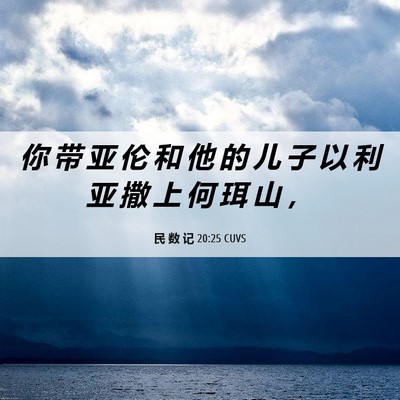 Picture 06 - 民 数 记 20:25 CUVS - 你 带 亚 伦 和 他 的 儿 子 以 利 亚 - Bible Verse Picture