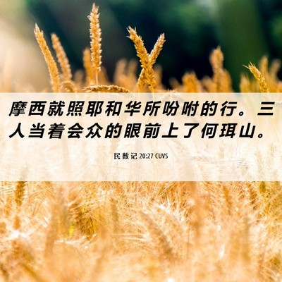 Picture 06 - 民 数 记 20:27 CUVS - 摩 西 就 照 耶 和 华 所 吩 咐 的 行 - Bible Verse Picture