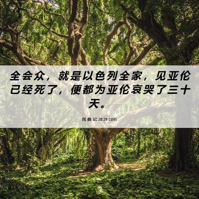 Picture 06 - 民 数 记 20:29 CUVS - 全 会 众 ， 就 是 以 色 列 全 家 ， - Bible Verse Picture