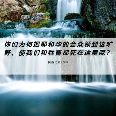 Picture 06 - 民 数 记 20:4 CUVS - 你 们 为 何 把 耶 和 华 的 会 众 领 - Bible Verse Picture