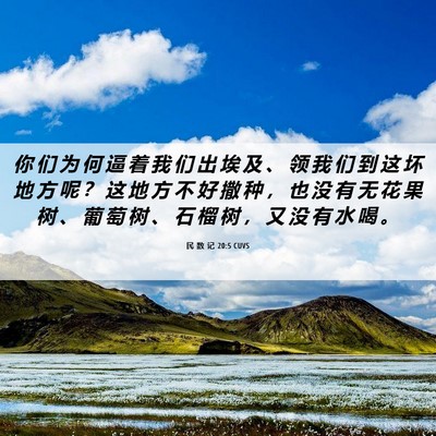 Picture 06 - 民 数 记 20:5 CUVS - 你 们 为 何 逼 着 我 们 出 埃 及 、 - Bible Verse Picture