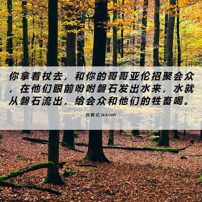 Picture 06 - 民 数 记 20:8 CUVS - 你 拿 着 杖 去 ， 和 你 的 哥 哥 亚 - Bible Verse Picture
