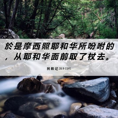 Picture 06 - 民 数 记 20:9 CUVS - 於 是 摩 西 照 耶 和 华 所 吩 咐 的 - Bible Verse Picture