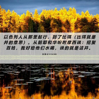 Picture 06 - 民 数 记 21:16 CUVS - 以 色 列 人 从 那 里 起 行 ， 到 了 - Bible Verse Picture