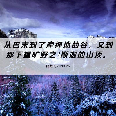 Picture 06 - 民 数 记 21:20 CUVS - 从 巴 末 到 了 摩 押 地 的 谷 ， 又 - Bible Verse Picture