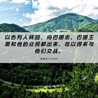 Picture 06 - 民 数 记 21:33 CUVS - 以 色 列 人 转 回 ， 向 巴 珊 去 。 - Bible Verse Picture