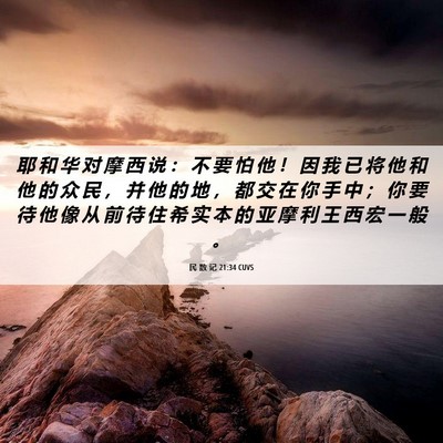 Picture 06 - 民 数 记 21:34 CUVS - 耶 和 华 对 摩 西 说 ： 不 要 怕 他 - Bible Verse Picture