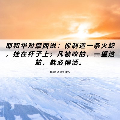 Picture 06 - 民 数 记 21:8 CUVS - 耶 和 华 对 摩 西 说 ： 你 制 造 一 - Bible Verse Picture