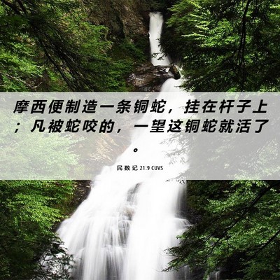 Picture 06 - 民 数 记 21:9 CUVS - 摩 西 便 制 造 一 条 铜 蛇 ， 挂 在 - Bible Verse Picture