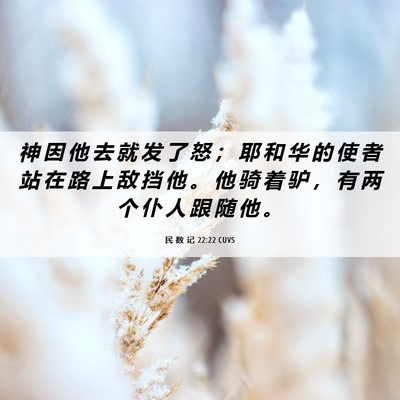 Picture 06 - 民 数 记 22:22 CUVS - 神 因 他 去 就 发 了 怒 ； 耶 和 华 - Bible Verse Picture