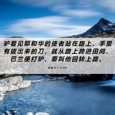 Picture 06 - 民 数 记 22:23 CUVS - 驴 看 见 耶 和 华 的 使 者 站 在 路 - Bible Verse Picture