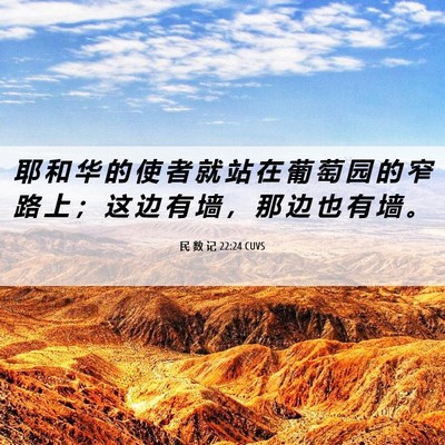 Picture 06 - 民 数 记 22:24 CUVS - 耶 和 华 的 使 者 就 站 在 葡 萄 园 - Bible Verse Picture