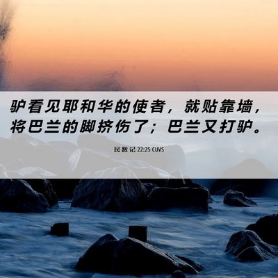Picture 06 - 民 数 记 22:25 CUVS - 驴 看 见 耶 和 华 的 使 者 ， 就 贴 - Bible Verse Picture