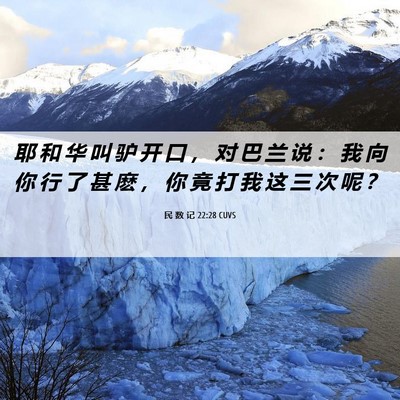 Picture 06 - 民 数 记 22:28 CUVS - 耶 和 华 叫 驴 开 口 ， 对 巴 兰 说 - Bible Verse Picture