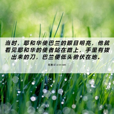 Picture 06 - 民 数 记 22:31 CUVS - 当 时 ， 耶 和 华 使 巴 兰 的 眼 目 - Bible Verse Picture