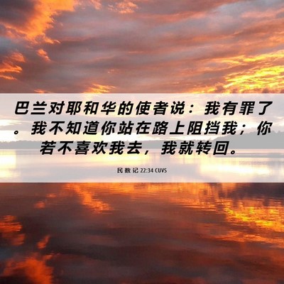 Picture 06 - 民 数 记 22:34 CUVS - 巴 兰 对 耶 和 华 的 使 者 说 ： 我 - Bible Verse Picture