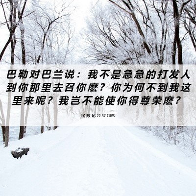 Picture 06 - 民 数 记 22:37 CUVS - 巴 勒 对 巴 兰 说 ： 我 不 是 急 急 - Bible Verse Picture
