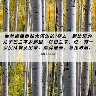 Picture 06 - 民 数 记 22:5 CUVS - 他 差 遣 使 者 往 大 河 边 的 ? 夺 去 - Bible Verse Picture