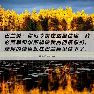Picture 06 - 民 数 记 22:8 CUVS - 巴 兰 说 ： 你 们 今 夜 在 这 里 住 - Bible Verse Picture