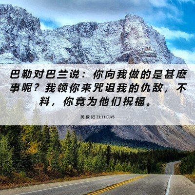 Picture 06 - 民 数 记 23:11 CUVS - 巴 勒 对 巴 兰 说 ： 你 向 我 做 的 - Bible Verse Picture