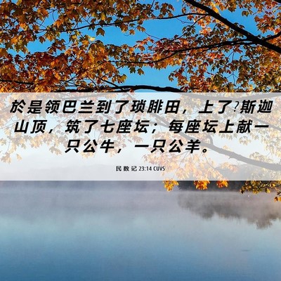 Picture 06 - 民 数 记 23:14 CUVS - 於 是 领 巴 兰 到 了 琐 腓 田 ， 上 - Bible Verse Picture