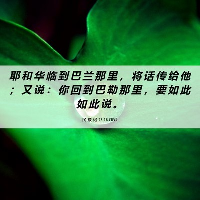Picture 06 - 民 数 记 23:16 CUVS - 耶 和 华 临 到 巴 兰 那 里 ， 将 话 - Bible Verse Picture