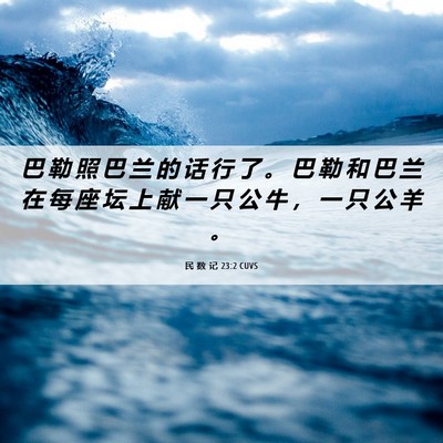 Picture 06 - 民 数 记 23:2 CUVS - 巴 勒 照 巴 兰 的 话 行 了 。 巴 勒 - Bible Verse Picture
