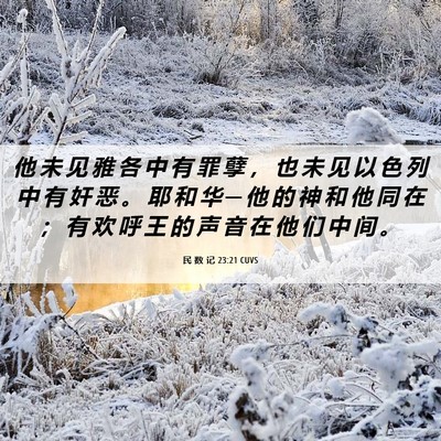 Picture 06 - 民 数 记 23:21 CUVS - 他 未 见 雅 各 中 有 罪 孽 ， 也 未 - Bible Verse Picture
