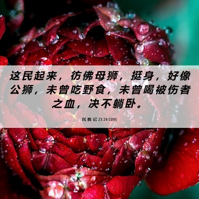 Picture 06 - 民 数 记 23:24 CUVS - 这 民 起 来 ， 彷 佛 母 狮 ， 挺 身 - Bible Verse Picture