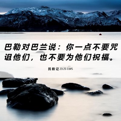 Picture 06 - 民 数 记 23:25 CUVS - 巴 勒 对 巴 兰 说 ： 你 一 点 不 要 - Bible Verse Picture