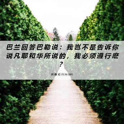 Picture 06 - 民 数 记 23:26 CUVS - 巴 兰 回 答 巴 勒 说 ： 我 岂 不 是 - Bible Verse Picture