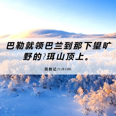 Picture 06 - 民 数 记 23:28 CUVS - 巴 勒 就 领 巴 兰 到 那 下 望 旷 野 - Bible Verse Picture
