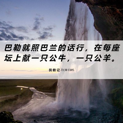 Picture 06 - 民 数 记 23:30 CUVS - 巴 勒 就 照 巴 兰 的 话 行 ， 在 每 - Bible Verse Picture