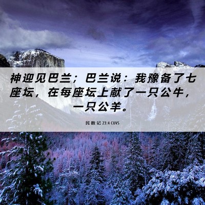 Picture 06 - 民 数 记 23:4 CUVS - 神 迎 见 巴 兰 ； 巴 兰 说 ： 我 豫 - Bible Verse Picture