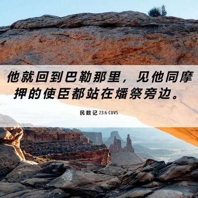 Picture 06 - 民 数 记 23:6 CUVS - 他 就 回 到 巴 勒 那 里 ， 见 他 同 - Bible Verse Picture