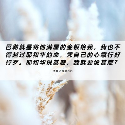 Picture 06 - 民 数 记 24:13 CUVS - 巴 勒 就 是 将 他 满 屋 的 金 银 给 - Bible Verse Picture