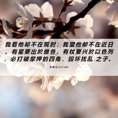 Picture 06 - 民 数 记 24:17 CUVS - 我 看 他 却 不 在 现 时 ； 我 望 他 - Bible Verse Picture