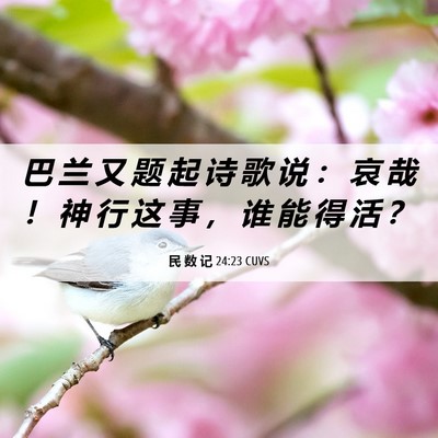 Picture 06 - 民 数 记 24:23 CUVS - 巴 兰 又 题 起 诗 歌 说 ： 哀 哉 ！ - Bible Verse Picture