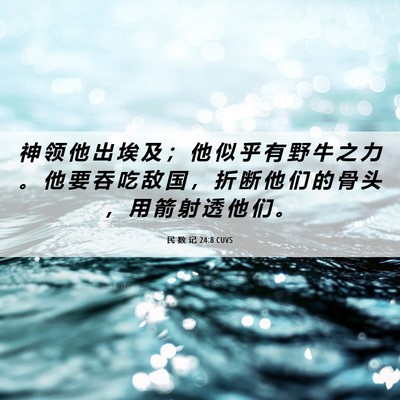 Picture 06 - 民 数 记 24:8 CUVS - 神 领 他 出 埃 及 ； 他 似 乎 有 野 - Bible Verse Picture