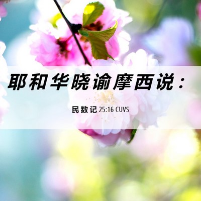 Picture 06 - 民 数 记 25:16 CUVS - 耶 和 华 晓 谕 摩 西 说 - Bible Verse Picture