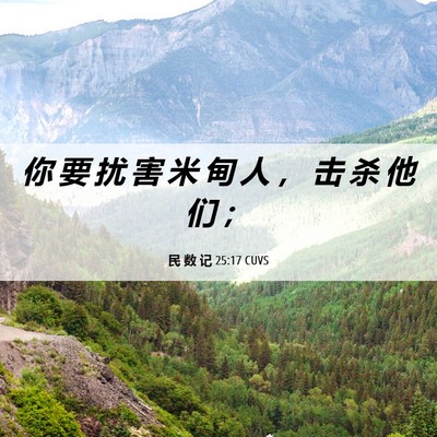 Picture 06 - 民 数 记 25:17 CUVS - 你 要 扰 害 米 甸 人 ， 击 杀 他 们 - Bible Verse Picture