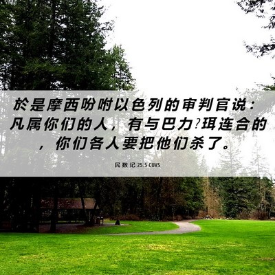 Picture 06 - 民 数 记 25:5 CUVS - 於 是 摩 西 吩 咐 以 色 列 的 审 判 - Bible Verse Picture