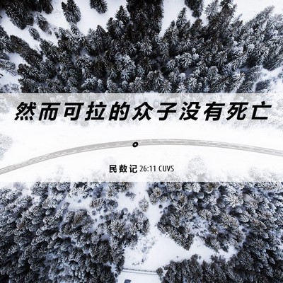 Picture 06 - 民 数 记 26:11 CUVS - 然 而 可 拉 的 众 子 没 有 死 亡 - Bible Verse Picture
